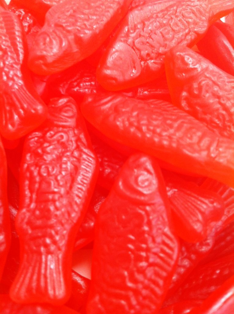 Red Swedish Fish Laura's Fudge Shop